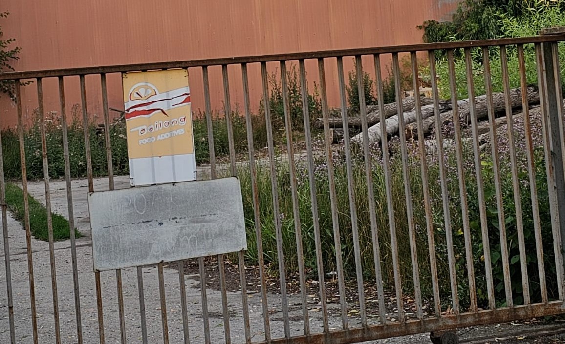 רומניה 1 - מגרש