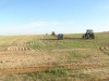 קרקעות חקלאיות-עד 2013